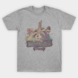 Splash Mountain Vintage T-Shirt